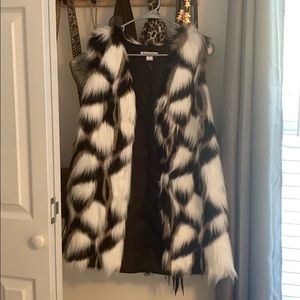 Fur Vest